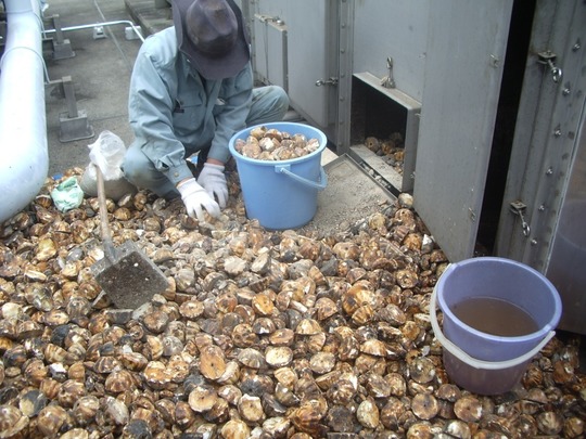 セラミックスの点検・清掃。 - 脱臭対策・悪臭対策・水質浄化 ザイン